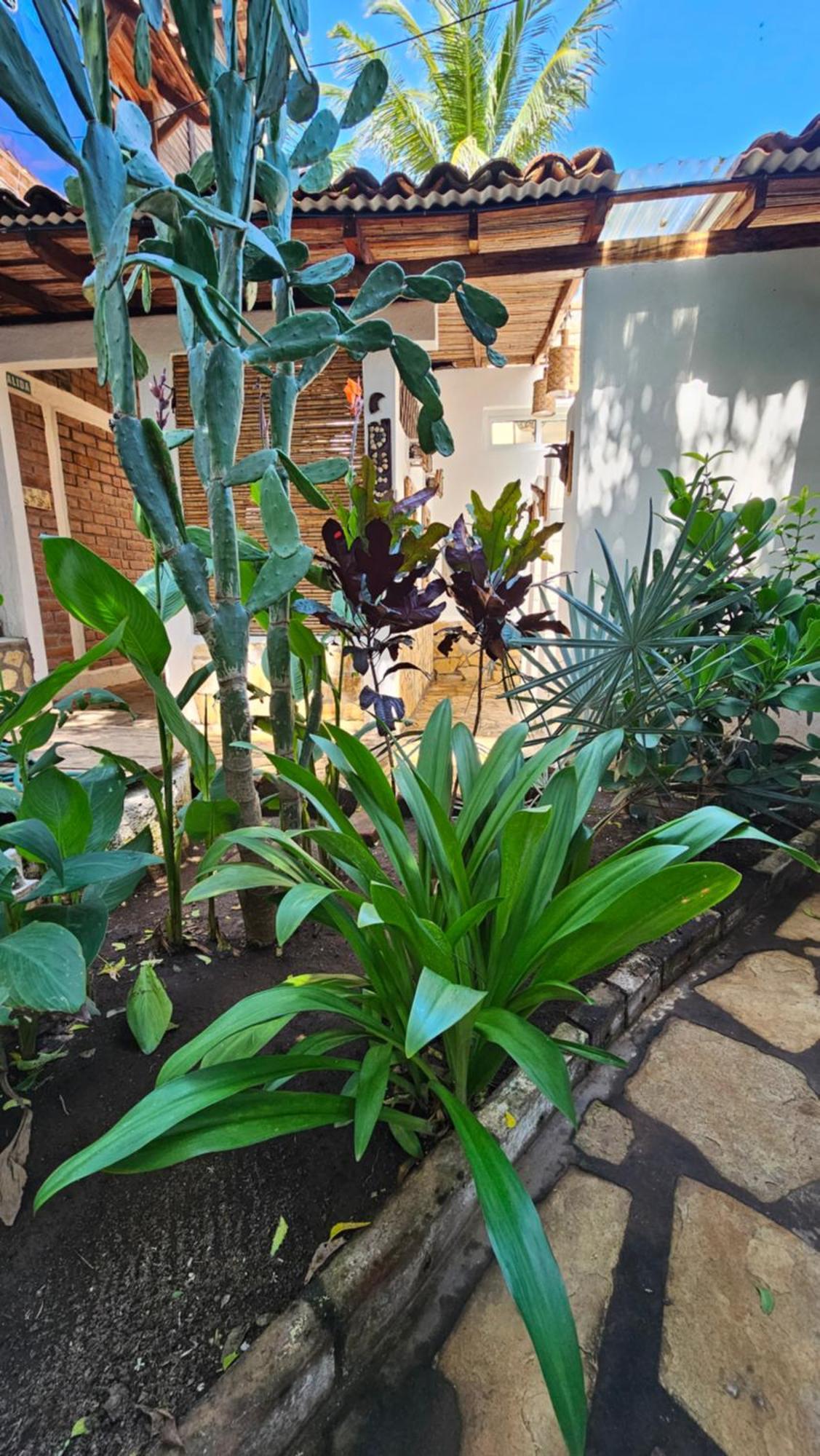 Mano A Mano Eco Hostal Las Peñitas المظهر الخارجي الصورة