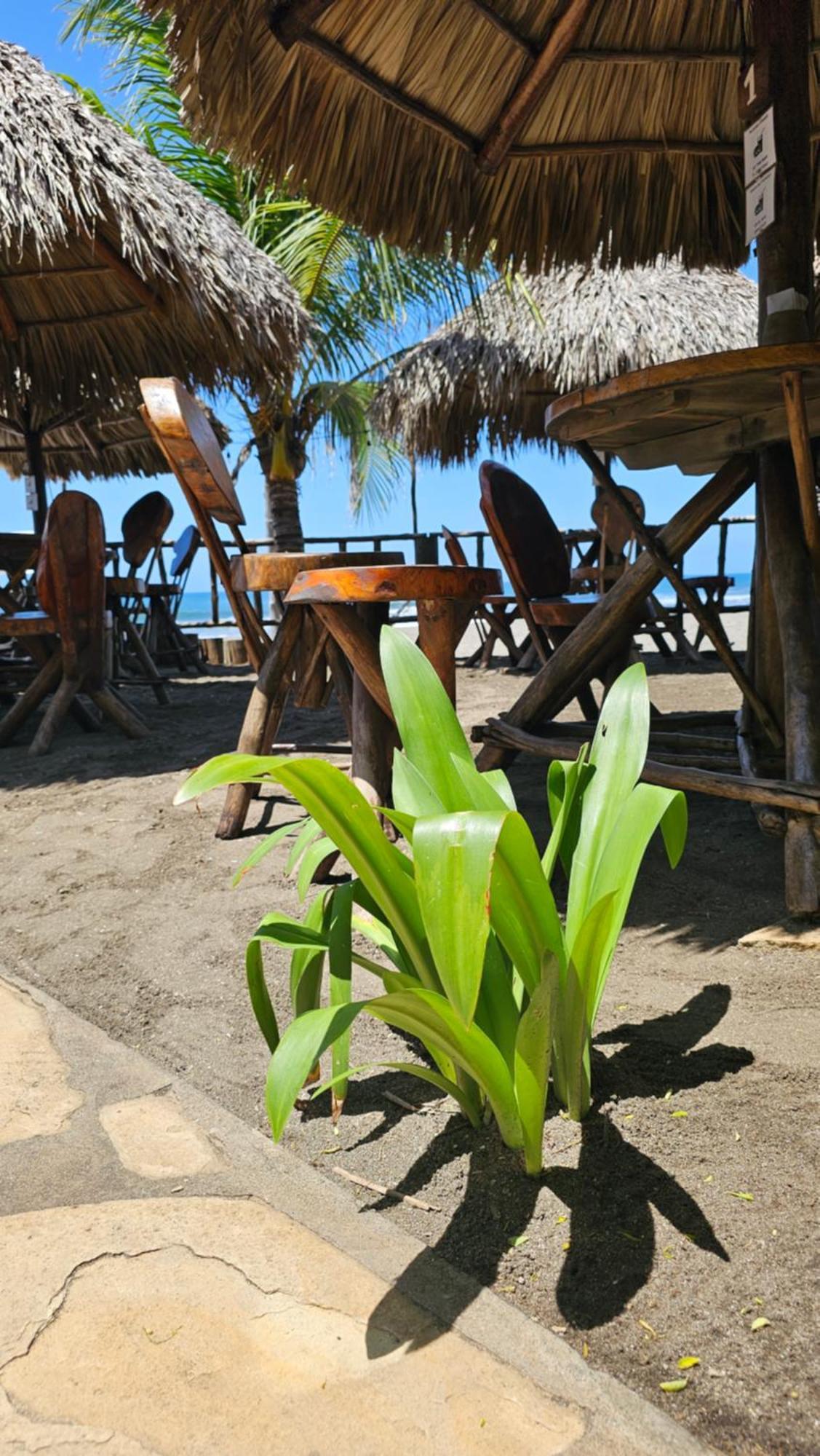 Mano A Mano Eco Hostal Las Peñitas المظهر الخارجي الصورة